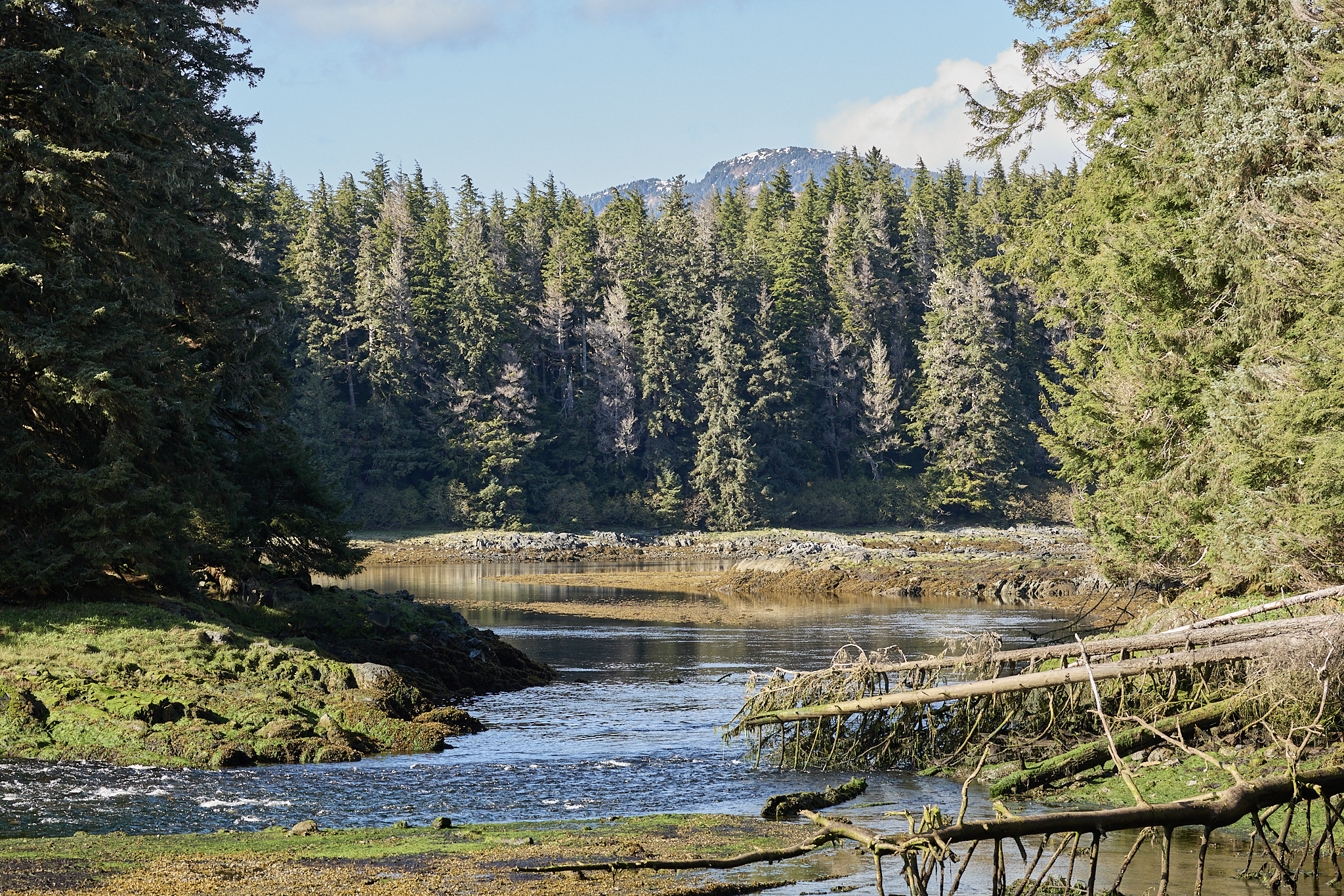 May 11, 2025 – Eva Lagoon, Alaska