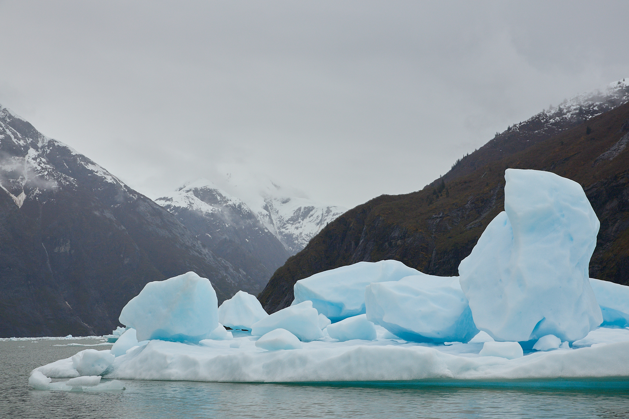 May 16, 2025 – Tracy Arm-Fords Terror Wilderness, Alaska
